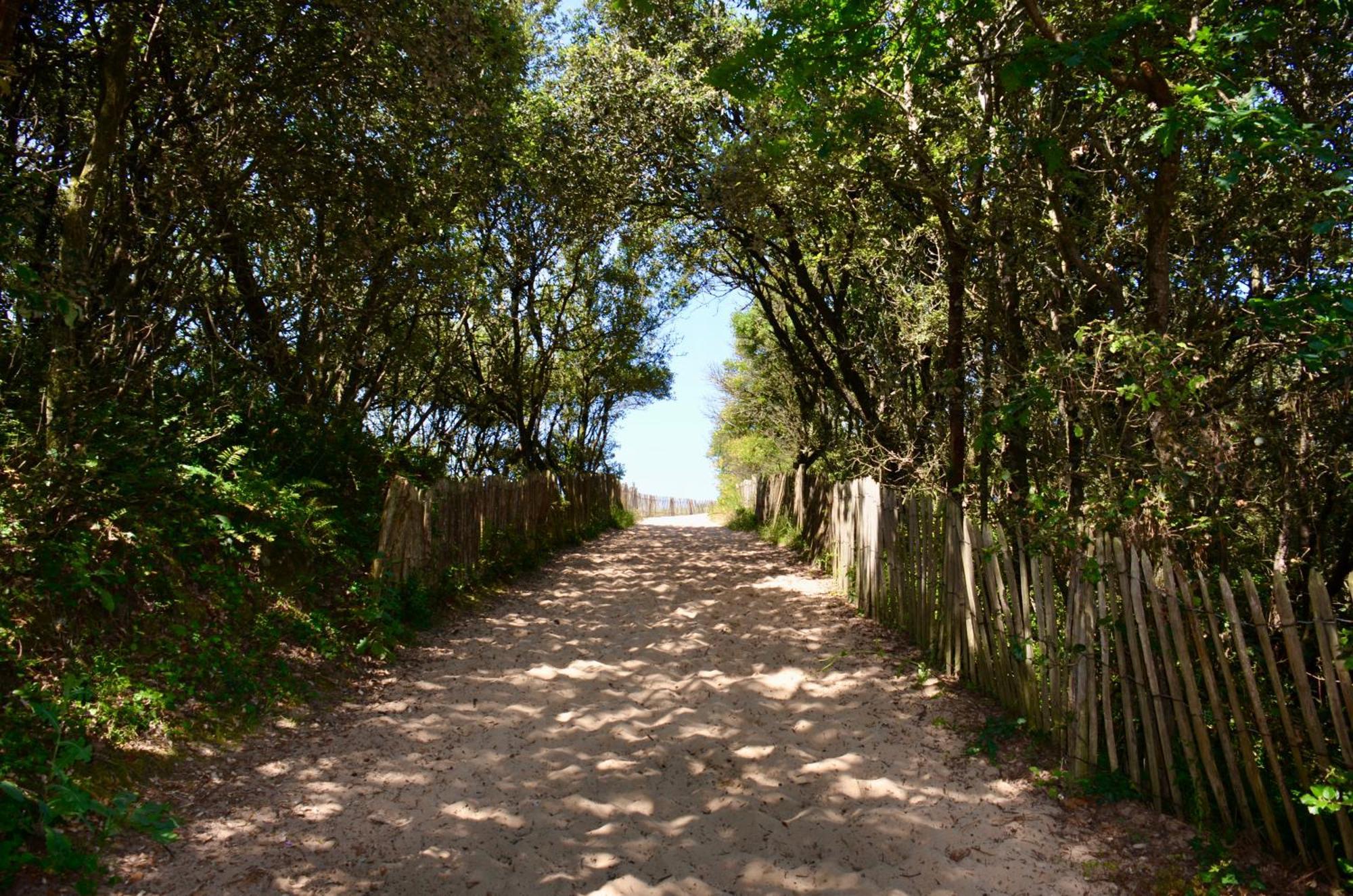 Le Clos Des Pins 4*